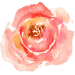 tiny flower 2