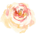 tiny flower 3